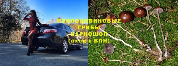 сатива Нефтегорск