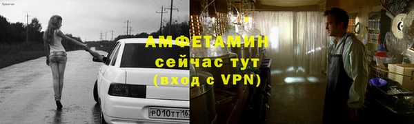 метадон Богданович