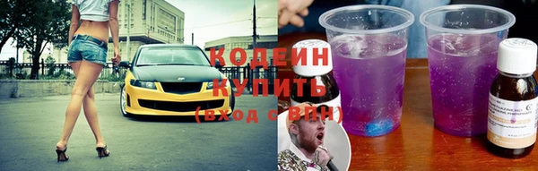 мдпв Бикин