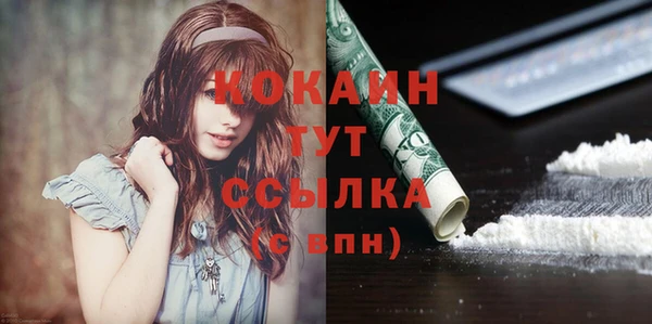 мдпв Бикин