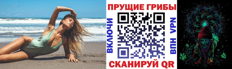 дарк нет формула  кракен сайт  Асбест  Галлюциногенные грибы Psilocybine cubensis 