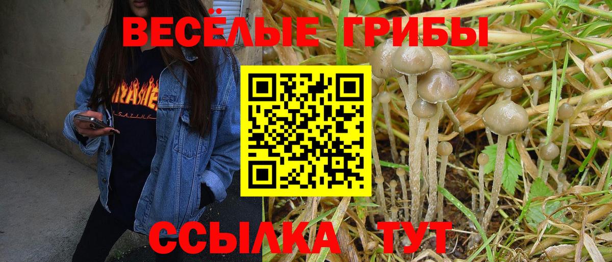 Асбест  что такое   Вход с VPN  Псилоцибиновые грибы Cubensis 