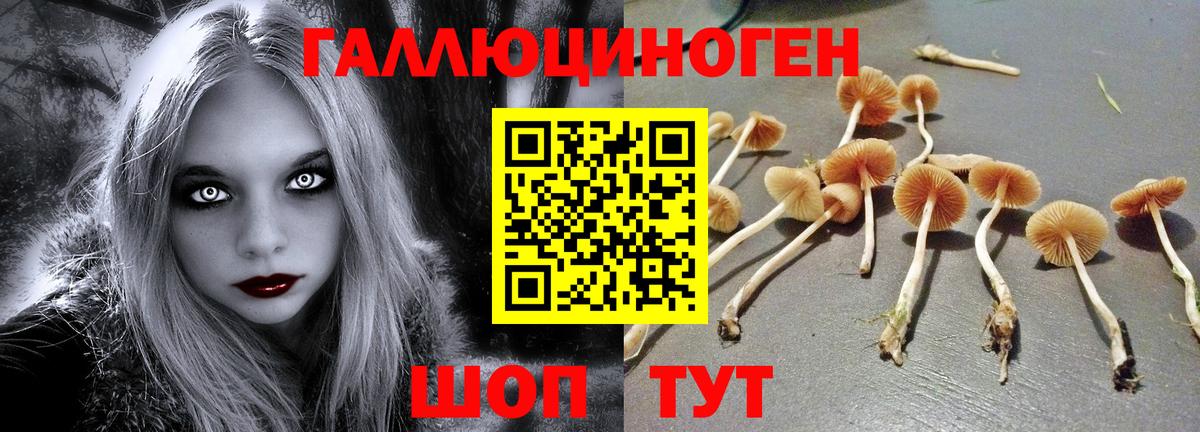 Псилоцибиновые грибы Cubensis Асбест